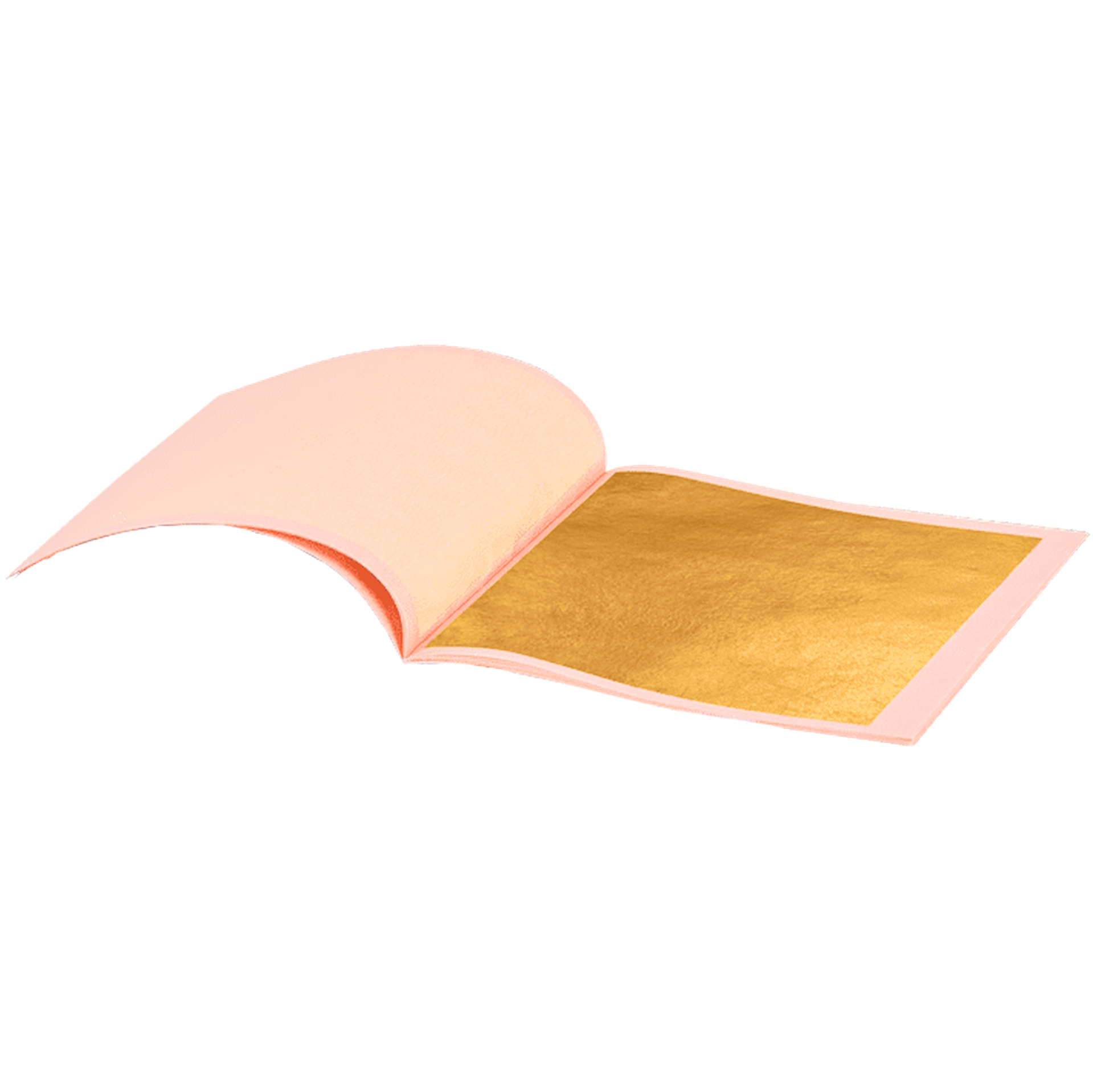 02_G157_7025.png
