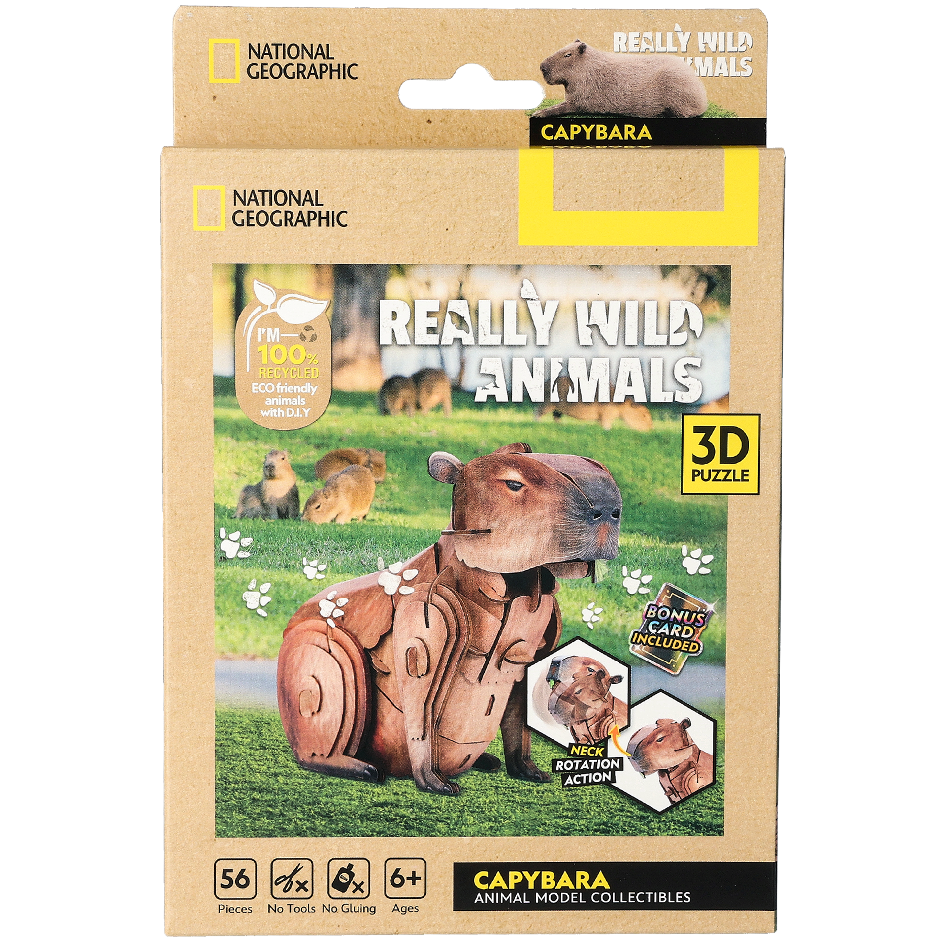 3D puslespill, Kapybara