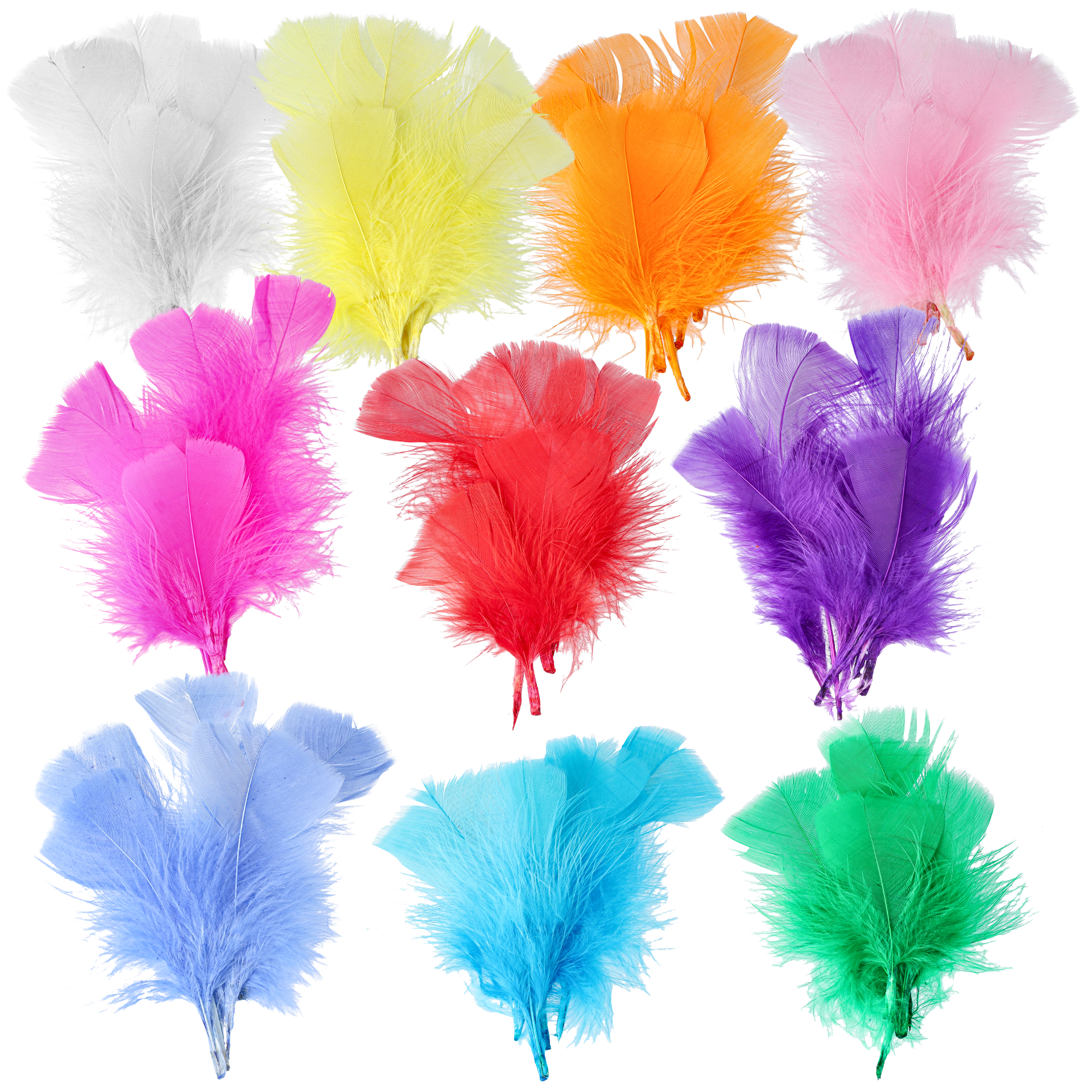 Fjer, Assorterede farver