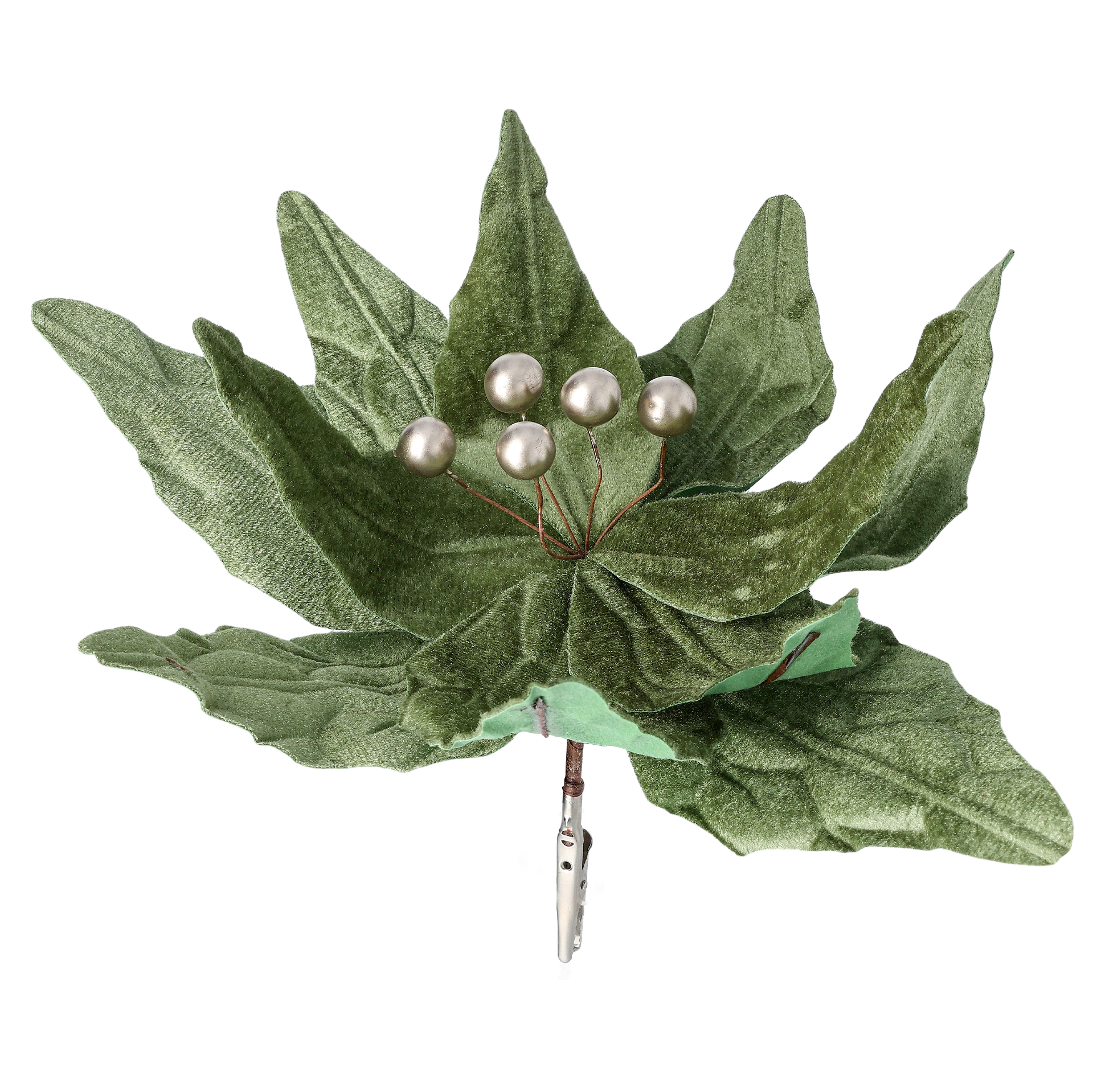 Julstjärna, Mörkgrön