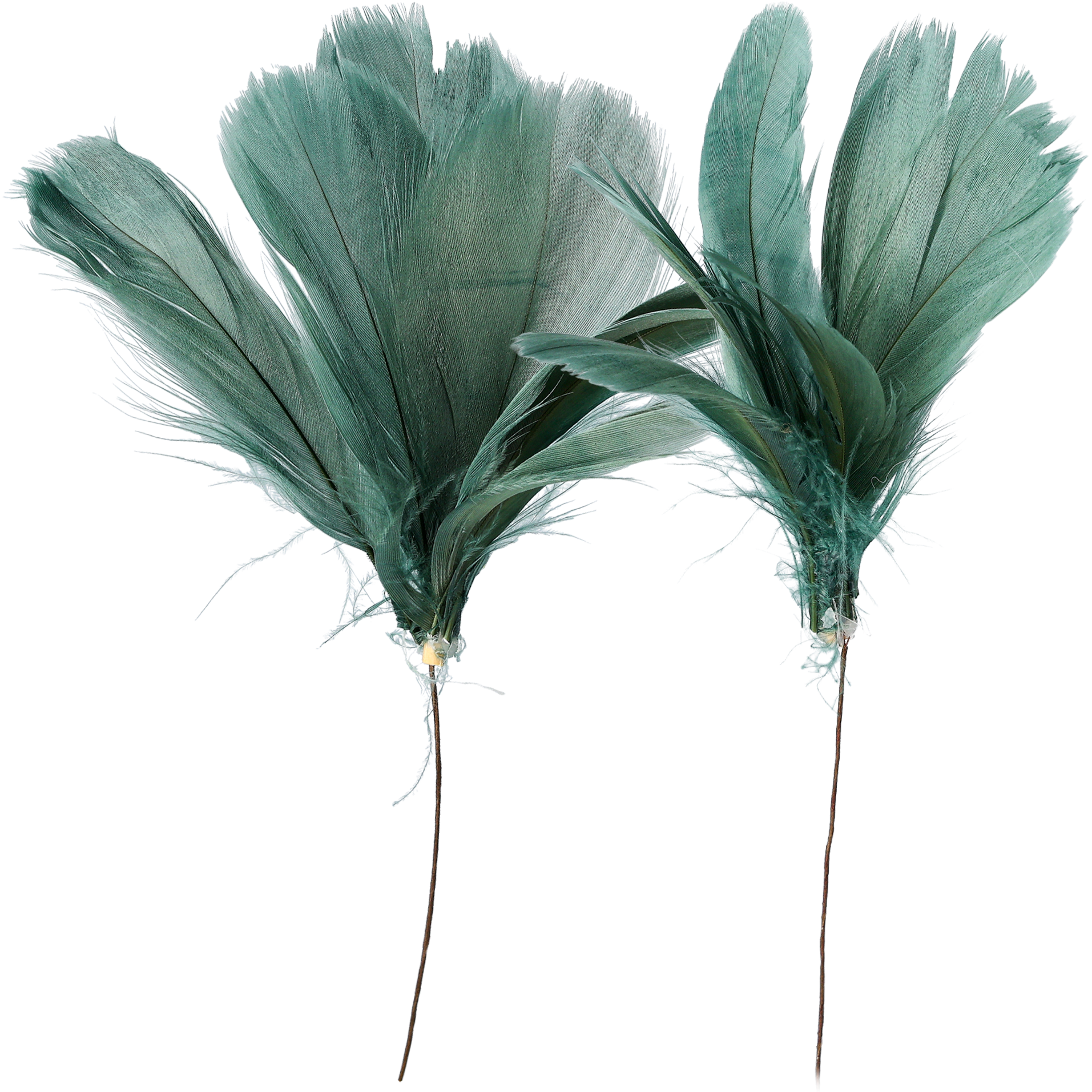 Fjer på tråd, Blågrøn