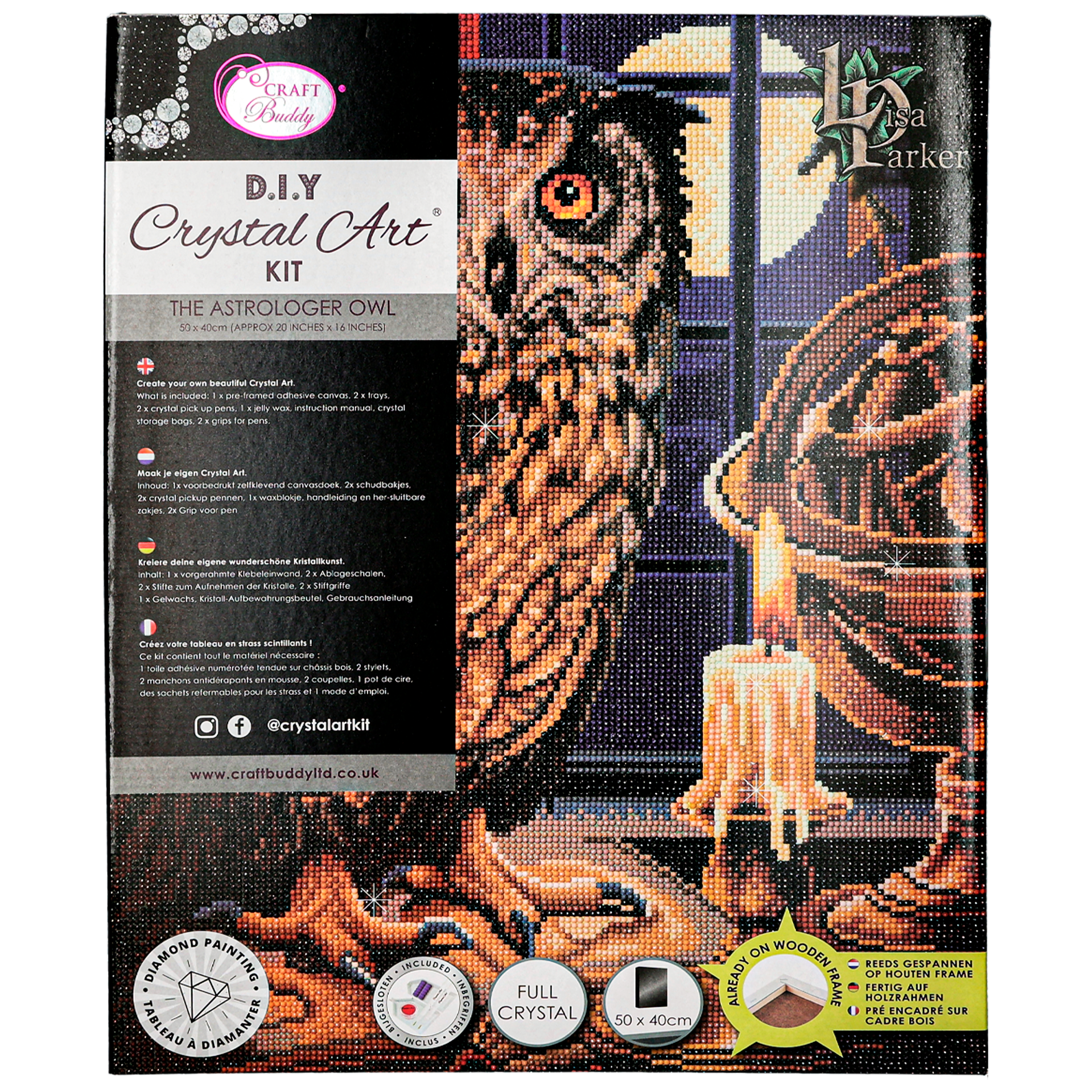 Diamond painting Kits Canvas The Astrologer Owl Lisa Parker
