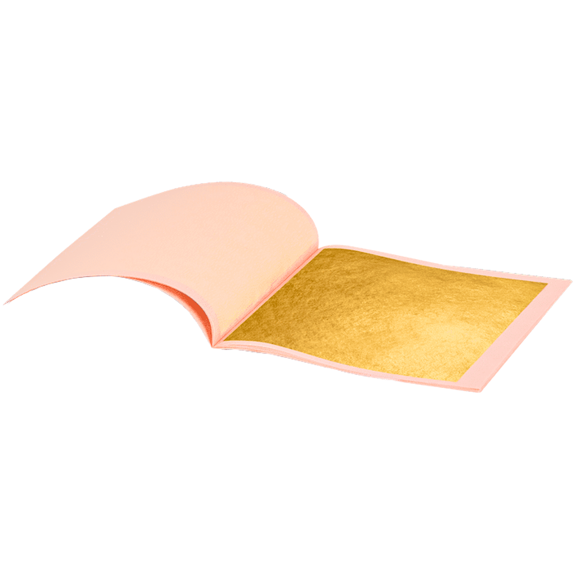 02_G159_7005.png