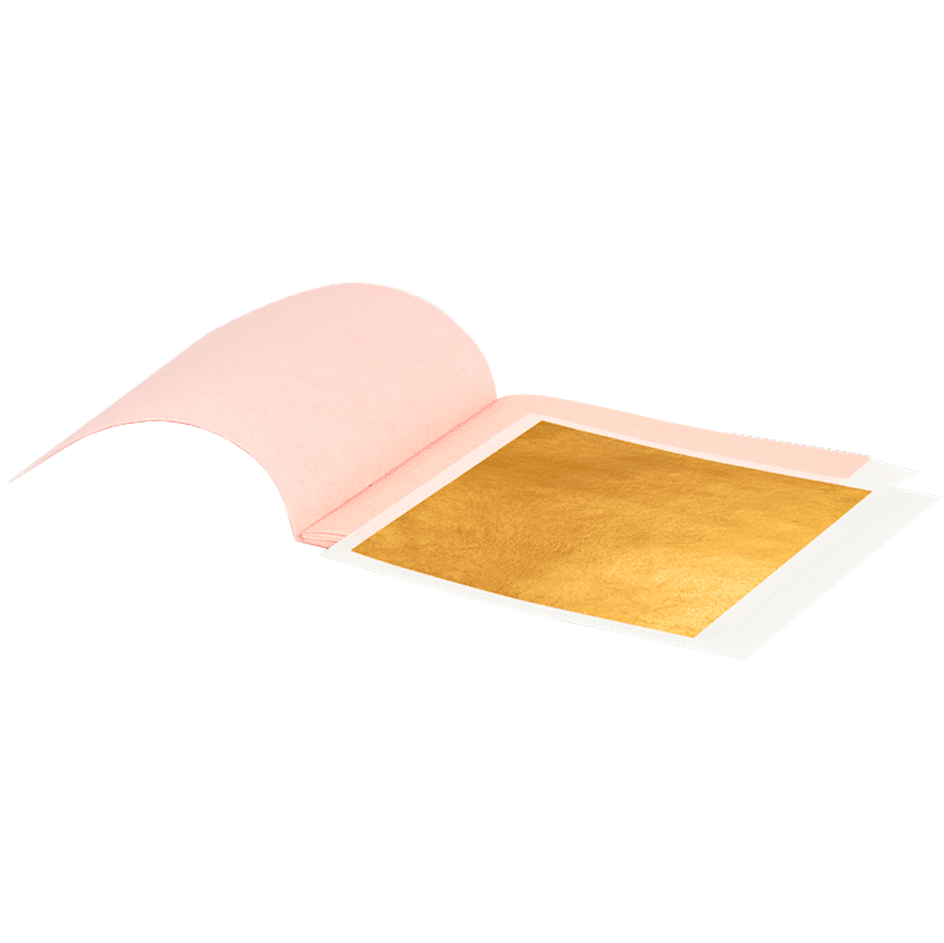 02_G158_7005.png