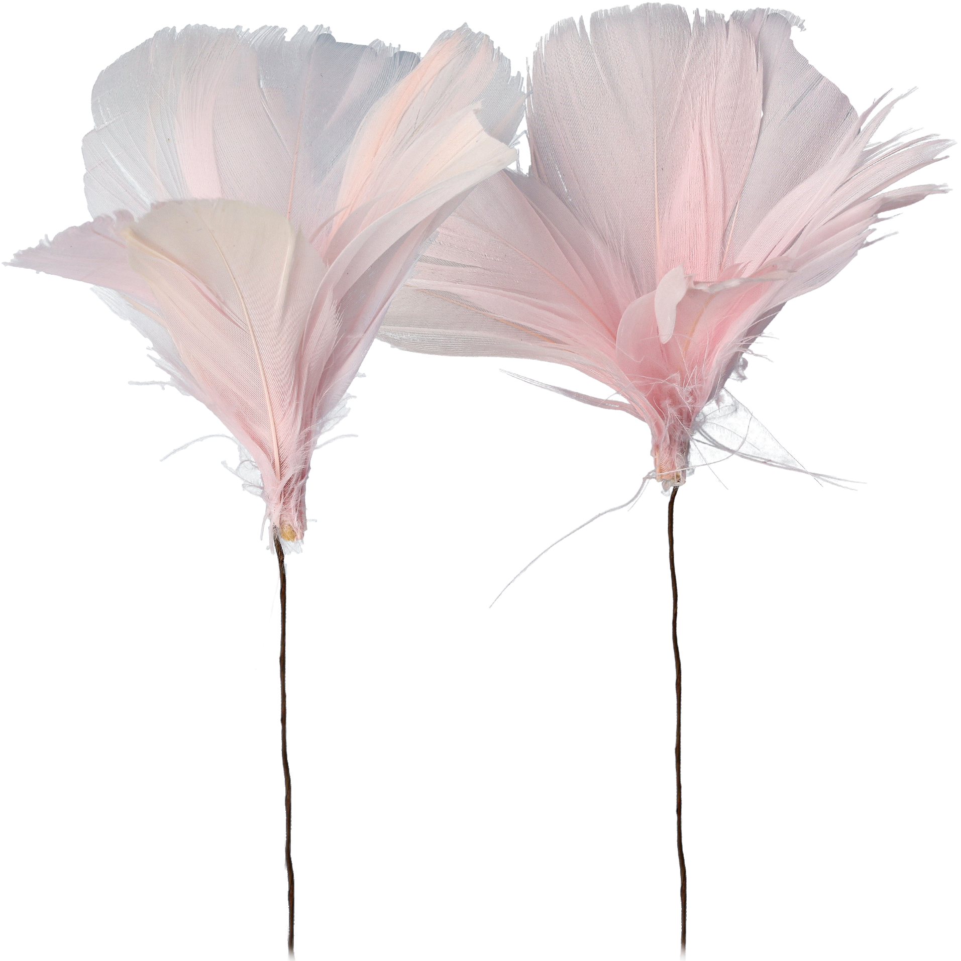 Fjer på tråd, lys rosa