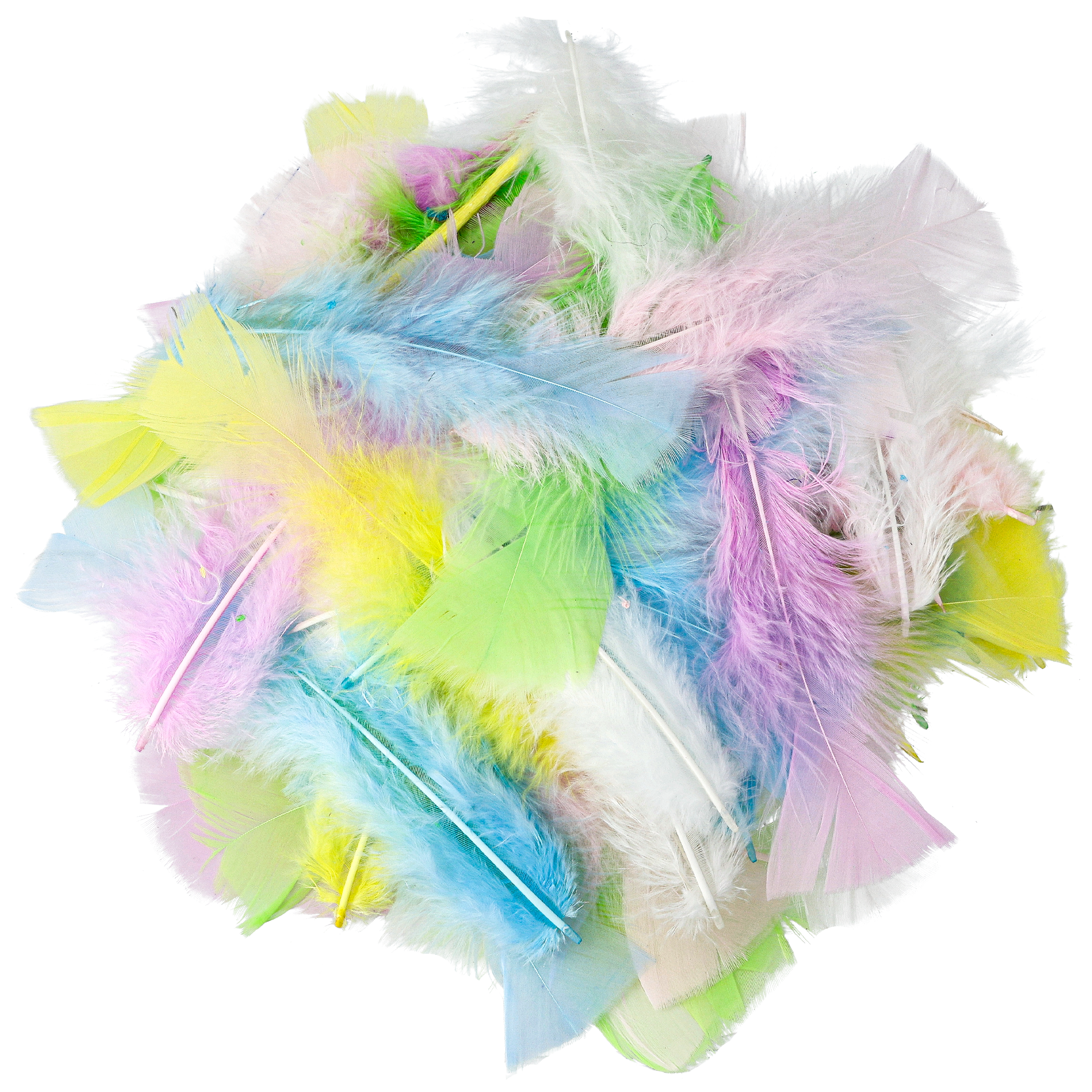 Fjädrar pastell