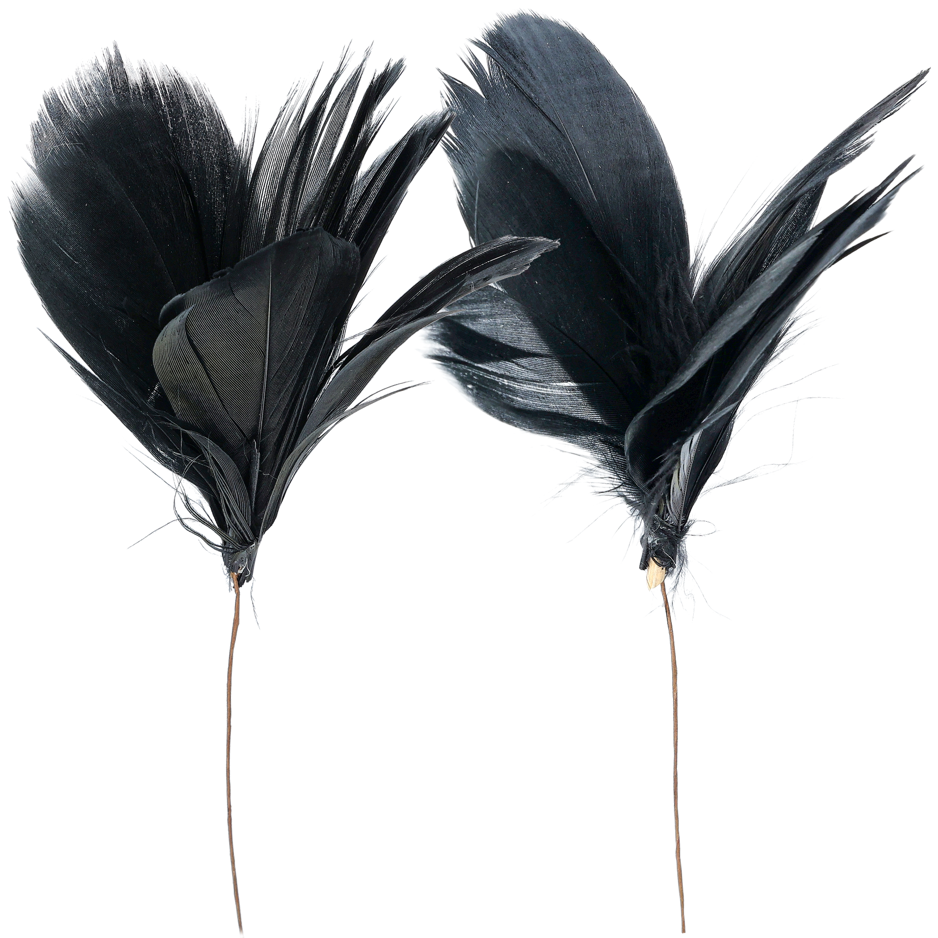 Fjer på tråd, sort