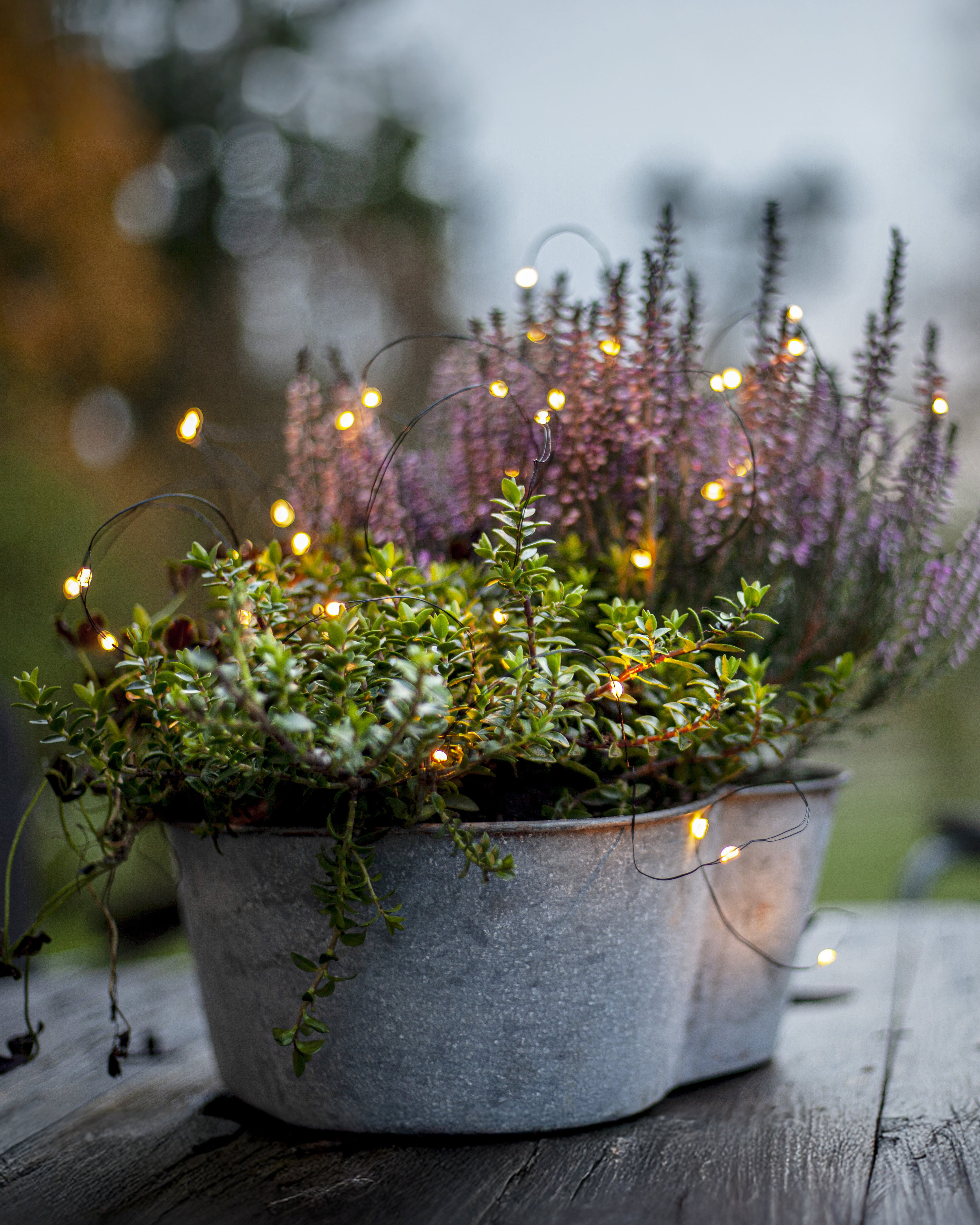Lyskæde Dew Drop Outdoor