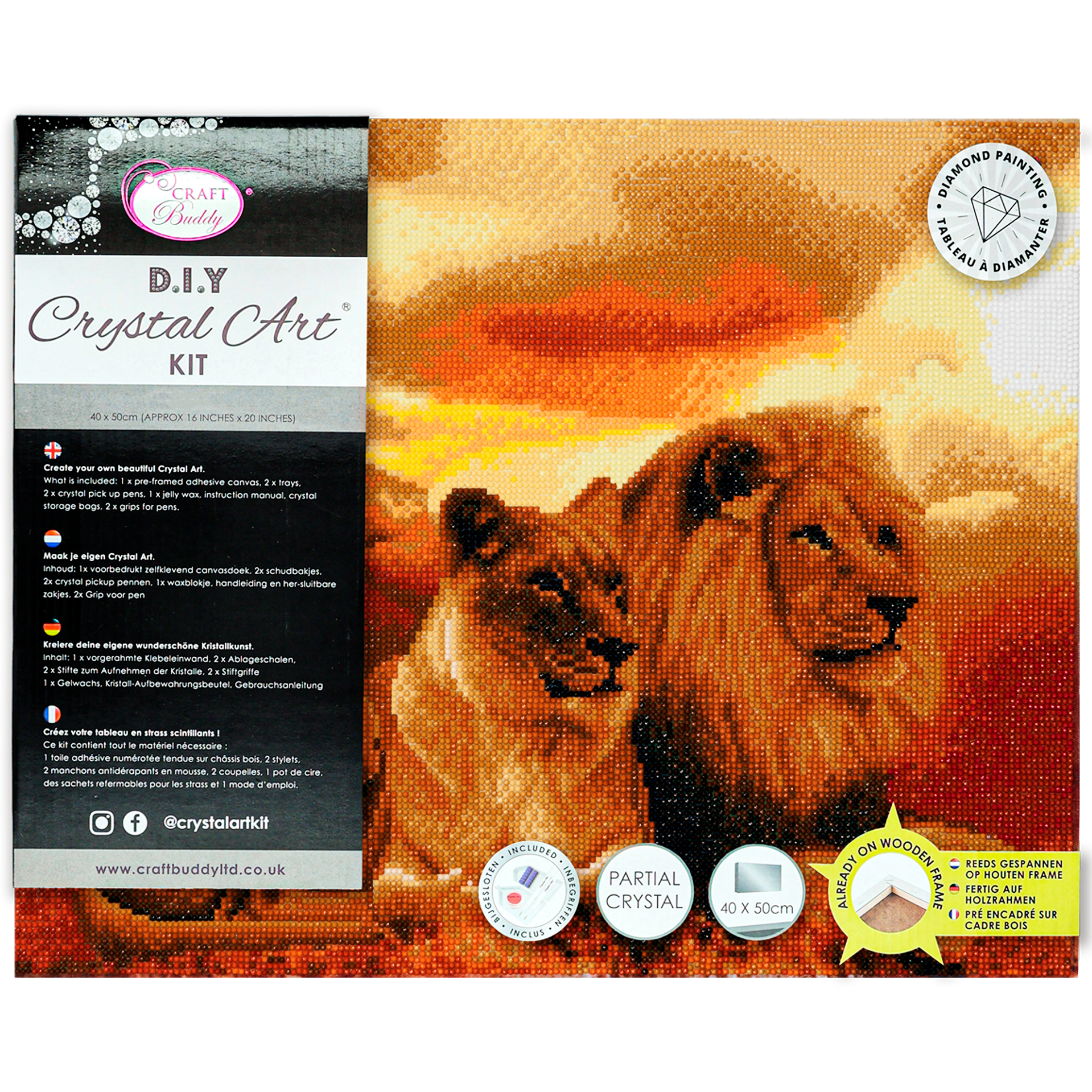 Crystal Art Kits Canvas Lions of the Savannah