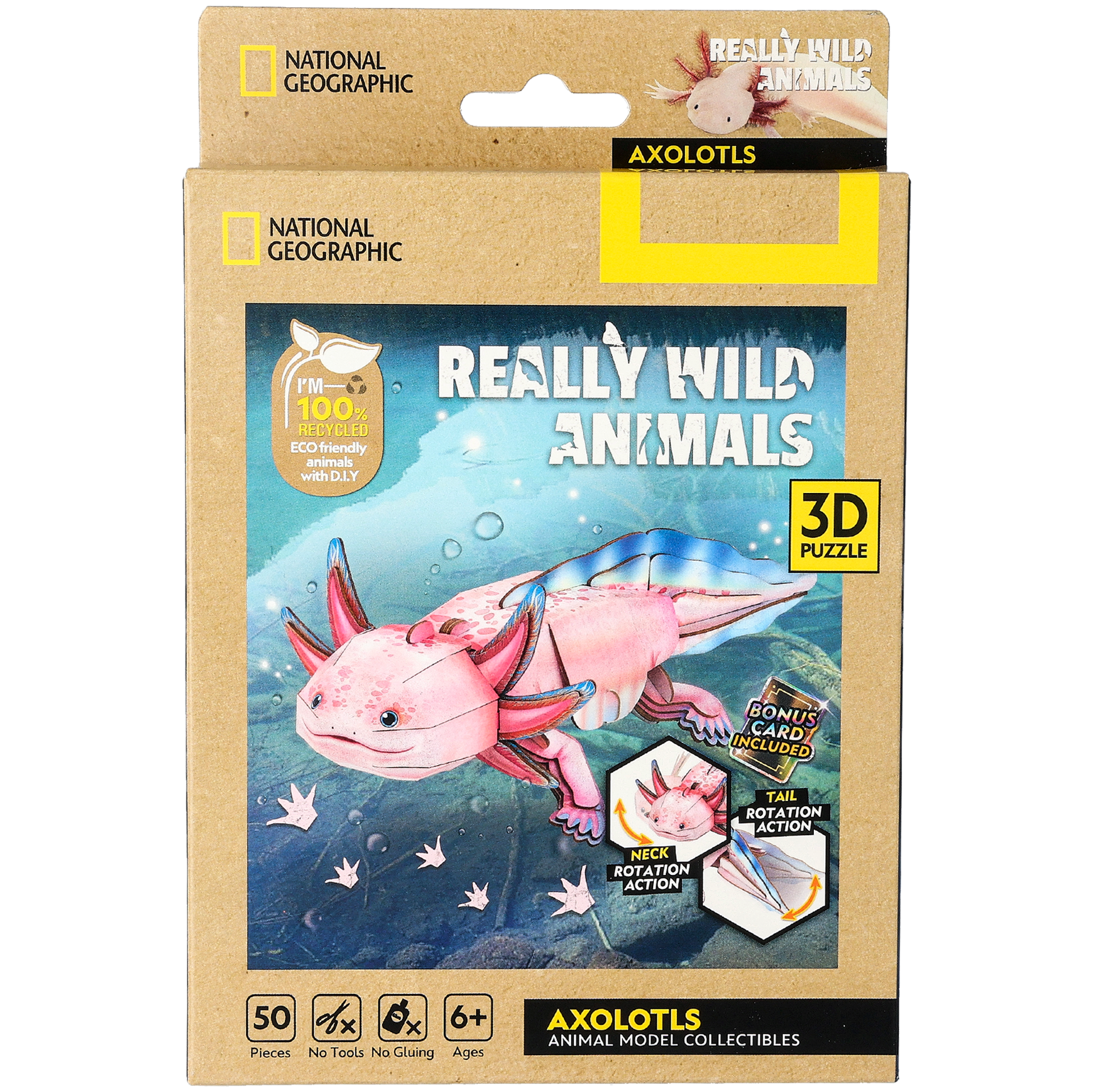 3D puslespill, Axolotl