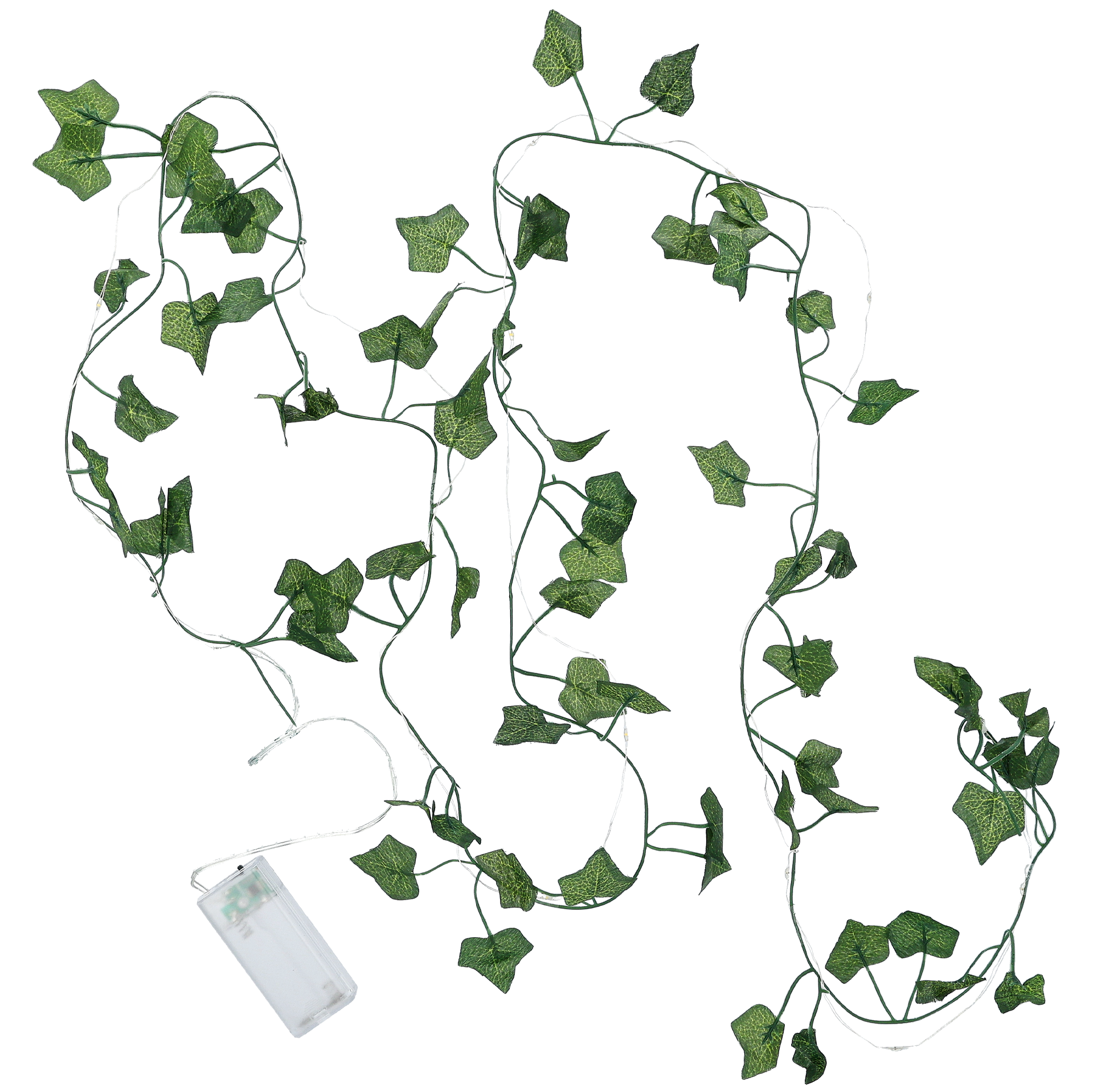 Ljusslinga Ivy