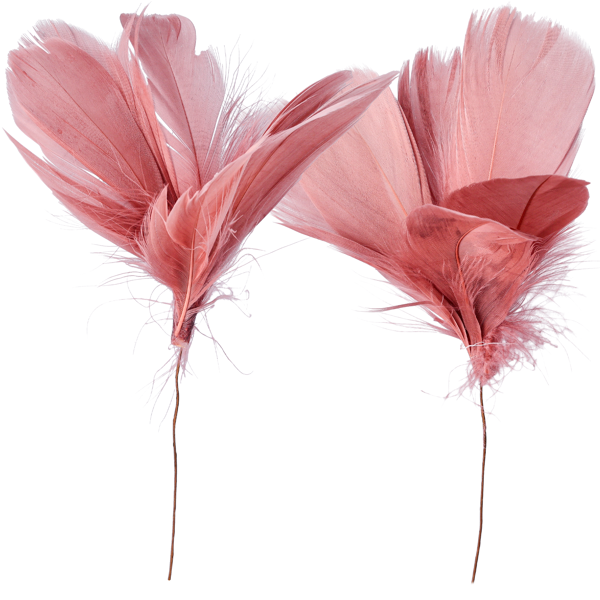 Fjer på tråd, gammelrosa