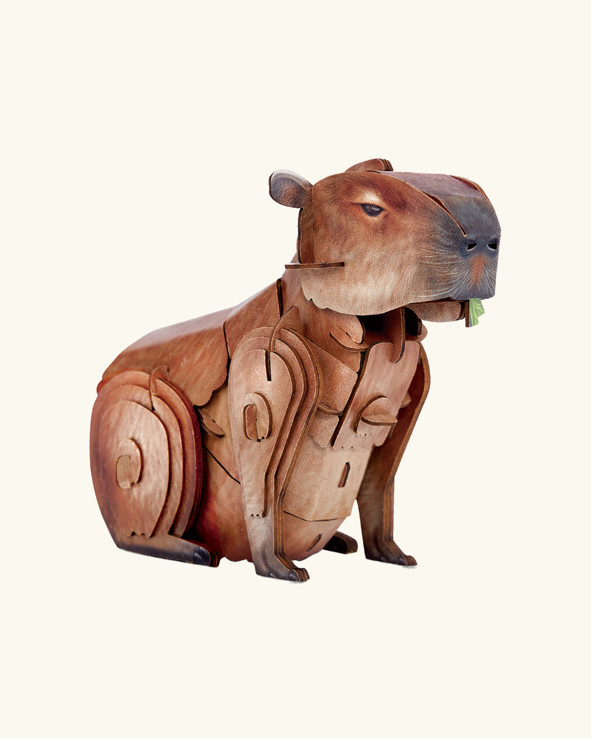3D puslespill, Kapybara